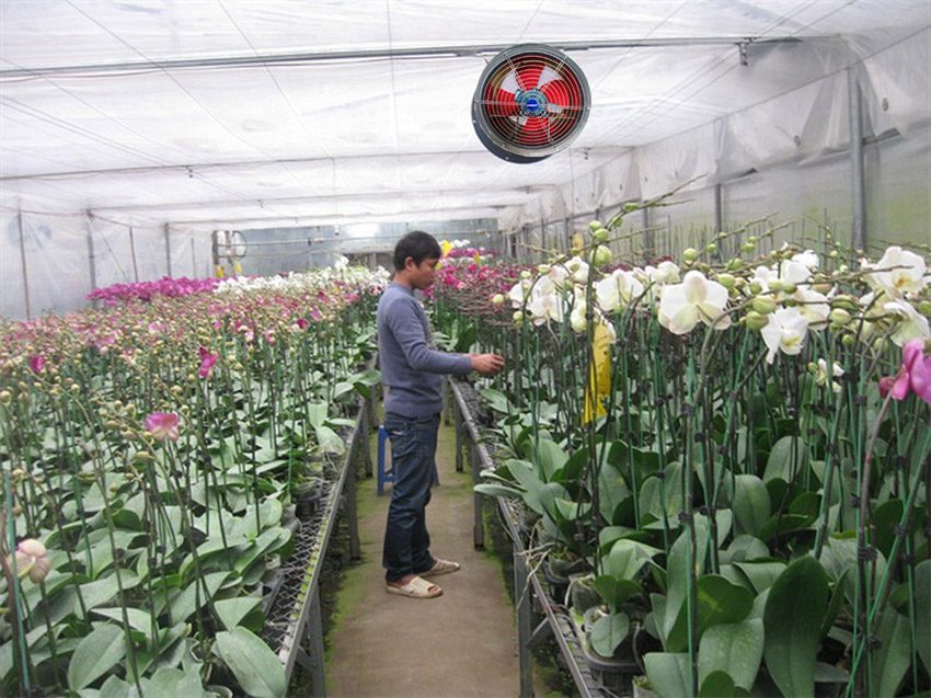 Quạt công nghiệp tròn Hasaki DFG 35 - Hàng chính hãng