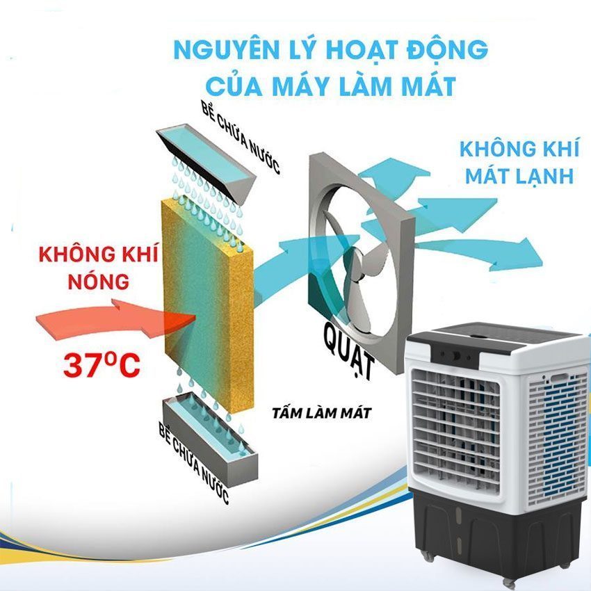 Quạt điều hòa không khí Midea AC320-19DH - Hàng chính hãng