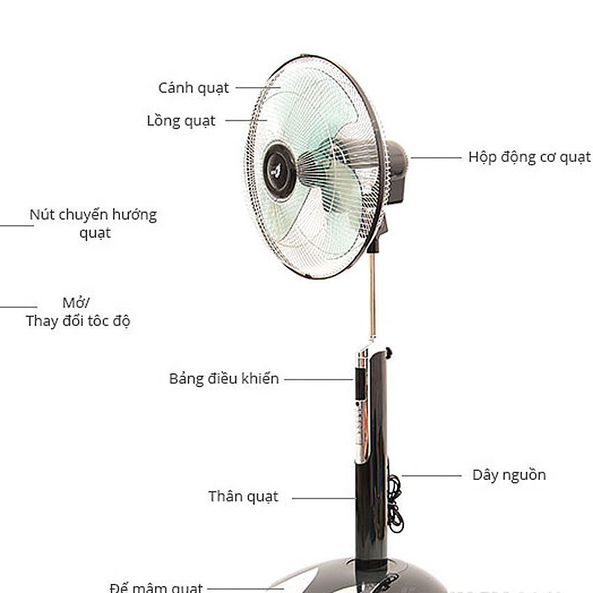Quạt đứng Asia D16012 - Hàng chính hãng