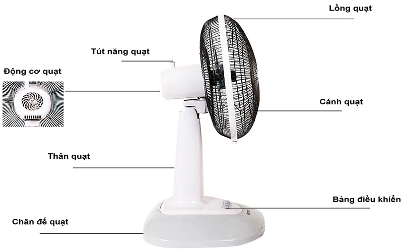 Quạt đứng Benny BFT46  - Hàng chính hãng
