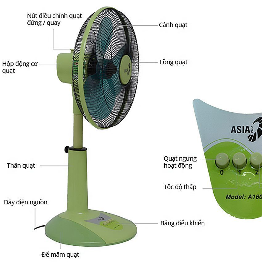 Chi tiết của quạt lung Asia A16001