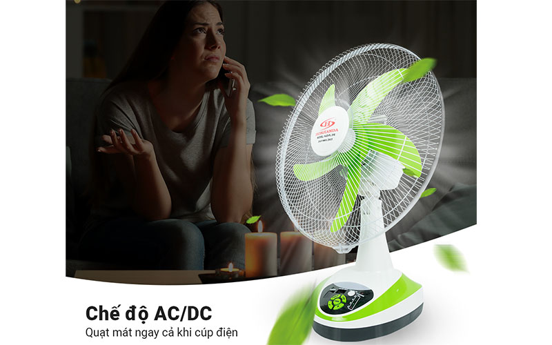 Quạt sạc tích điện Honjianda HJD-FL 316LED (Bình 12V 5Ah) - Hàng chính hãng