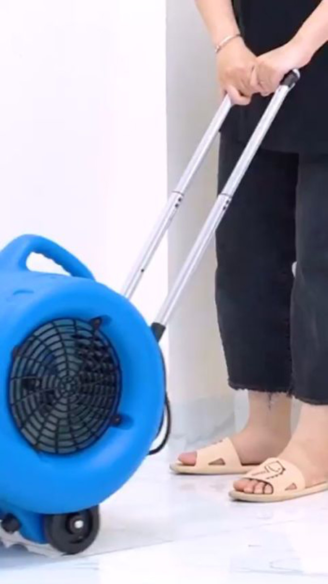 Quạt thổi thảm CleproX DC100 - Hàng chính hãng