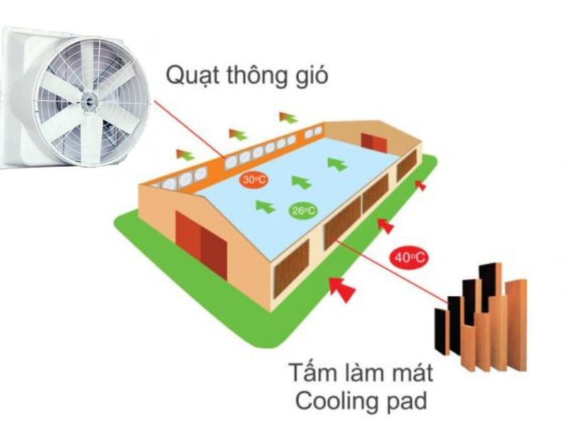 Quạt thông gió dạng loa iFan 106C - Hàng chính hãng