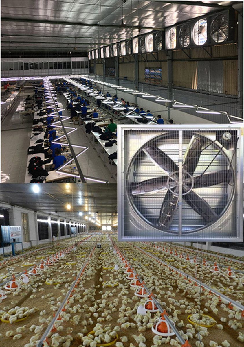 Quạt thông gió vuông gián tiếp Hasaki HSK 900 - Hàng chính hãng