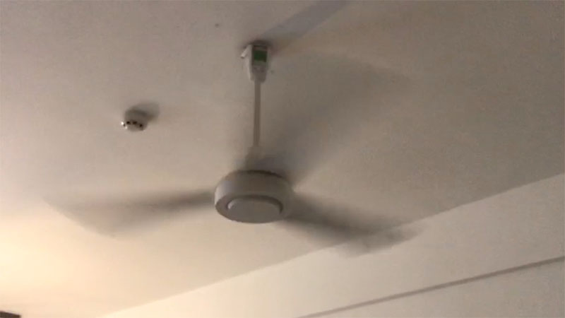 Quạt trần 3 cánh Hatari C48M1 - Hàng chính hãng