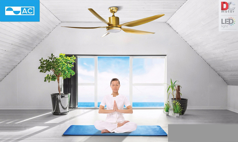 Quạt phù hợp lắp đặt ở hộ gia đình, văn phòng, lớp học,...