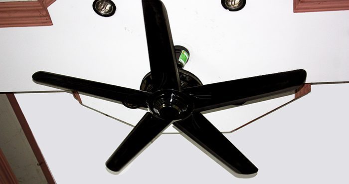 Quạt trần Alpha AF-12