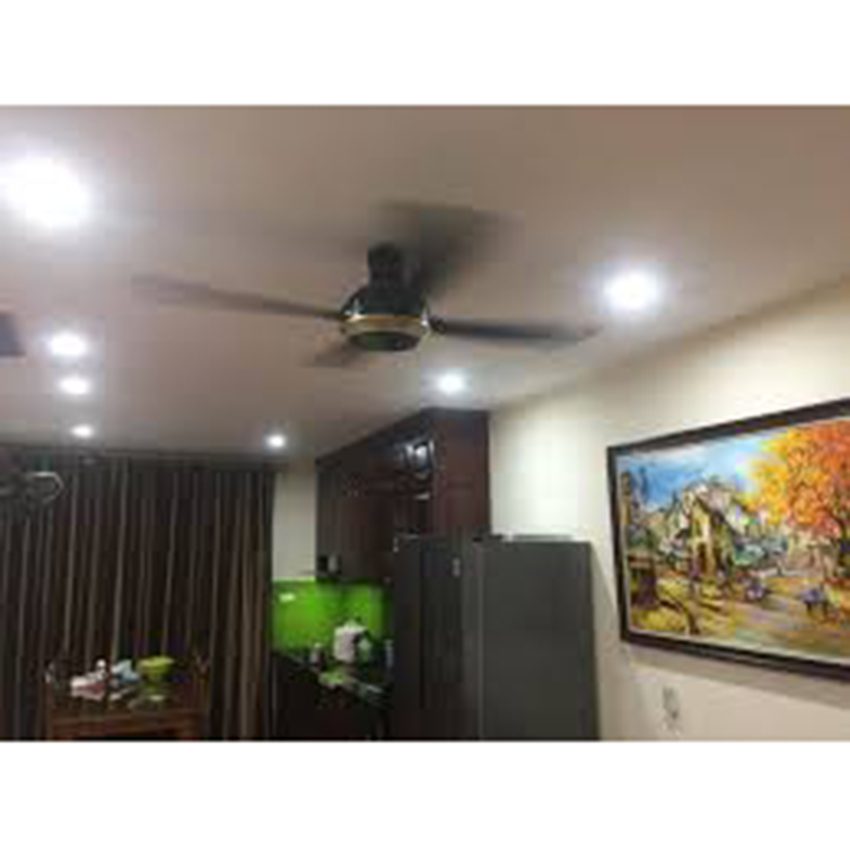 Công dụng của quạt trần Panasonic F-56XPG