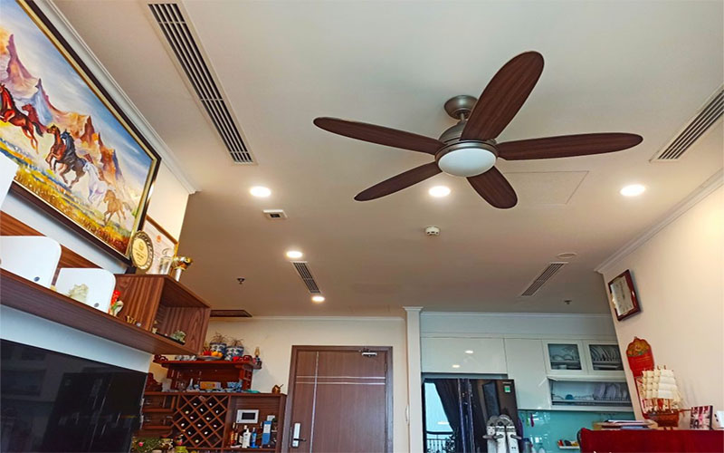 Quạt trần MR.VŨ Daisy Gold - Hàng chính hãng