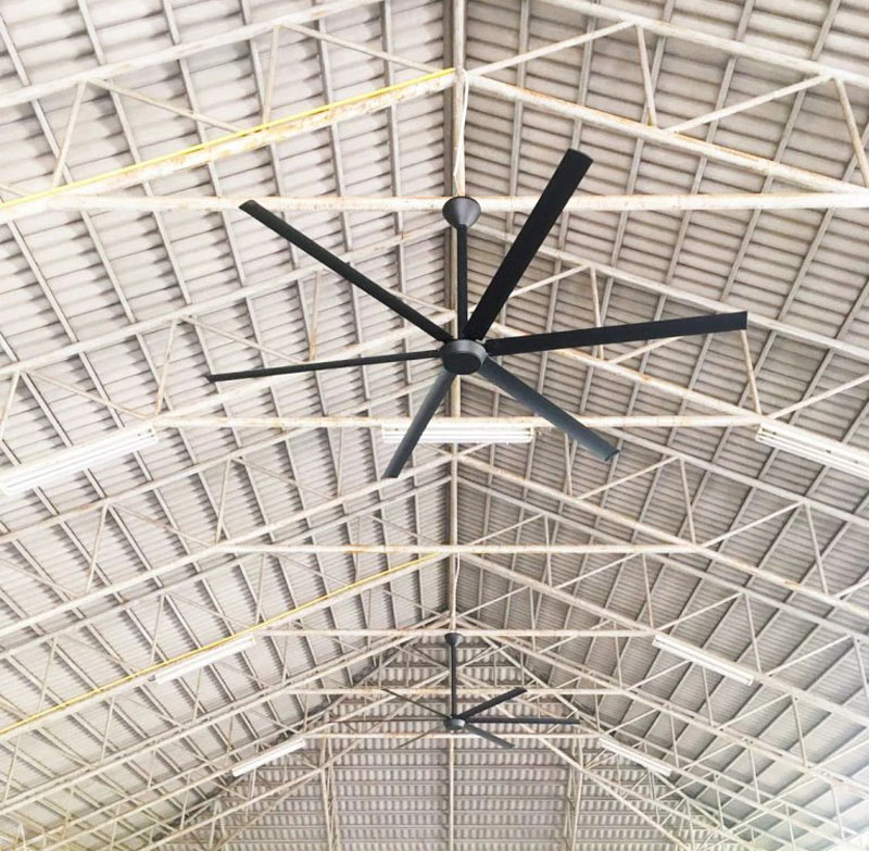 Quạt trần Mr Vũ Xtreme 2 MB - Hàng chính hãng