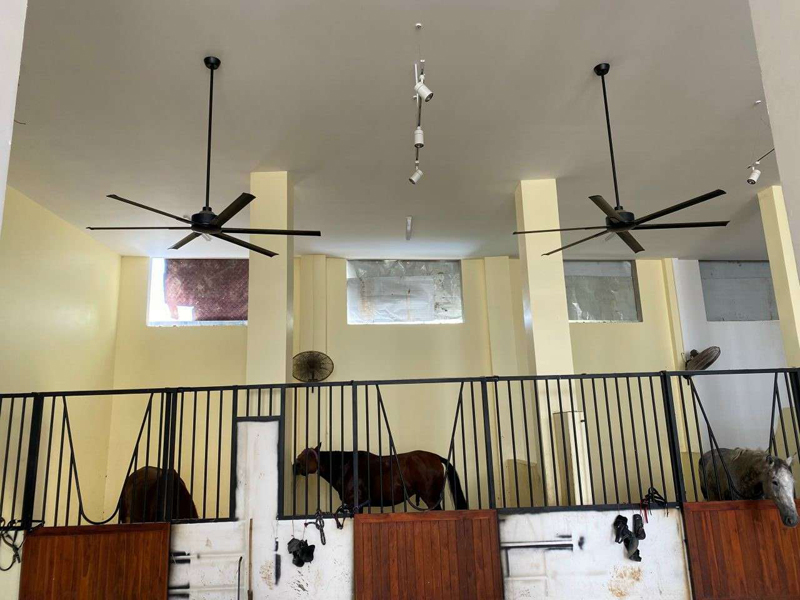 Quạt trần Mr Vũ INDUSTRIAL PRO 72 - Hàng chính hãng