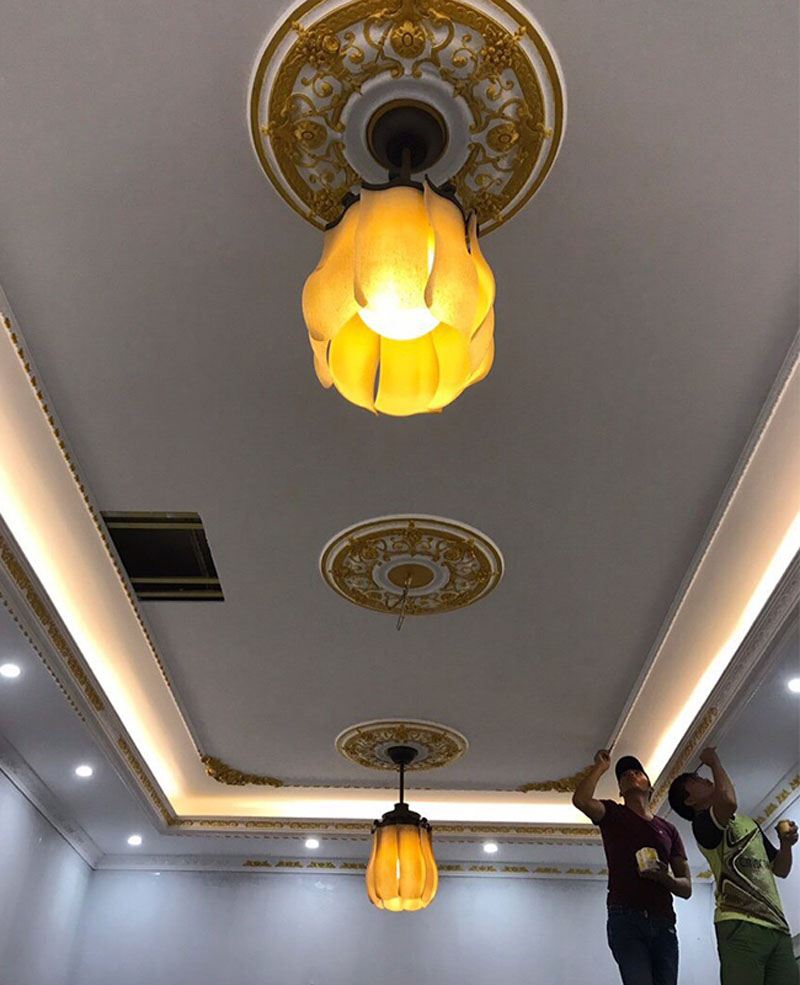 Thích hợp sử dụng cho phòng khách, quạt trần lắp biệt thự, sảnh khách sạn, nhà hàng,...