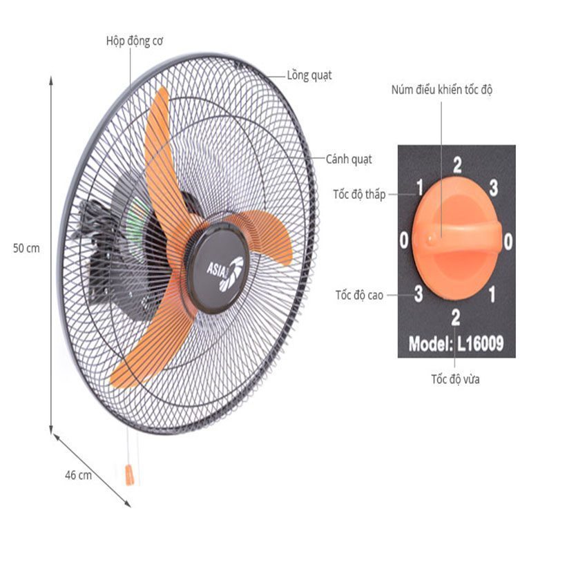 cấu tạo quạt treo Asia L16009
