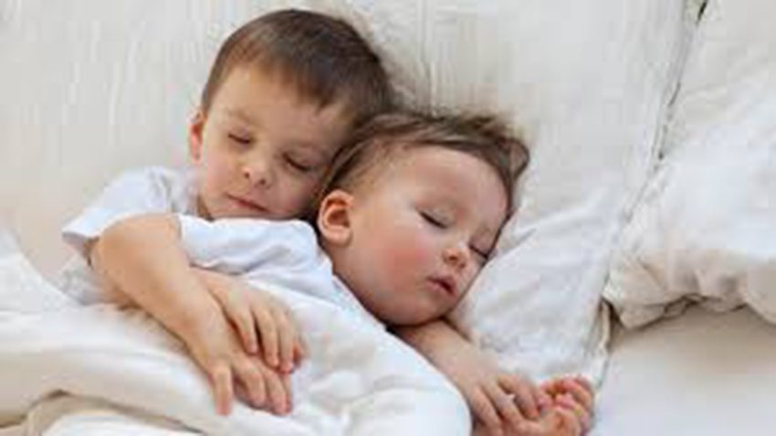 Chức năng của quạt treo tường Senko T1882