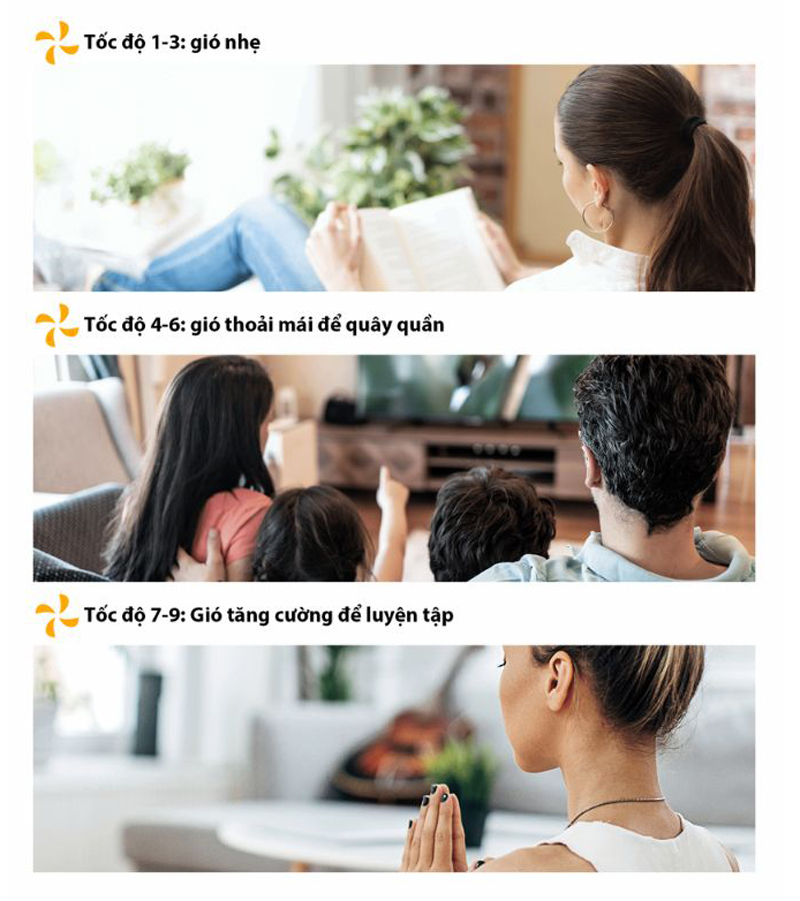 Quạt tuần hoàn không khí Toshiba F-DSC80XVN  - Hàng chính hãng