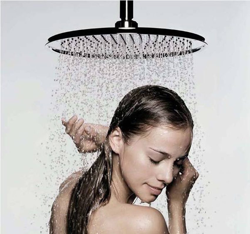 Công dụng của sen cây nóng lạnh Olaytoto PR-220