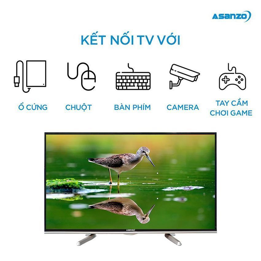 Kết nối của smart Tivi Asanzo 55ES980