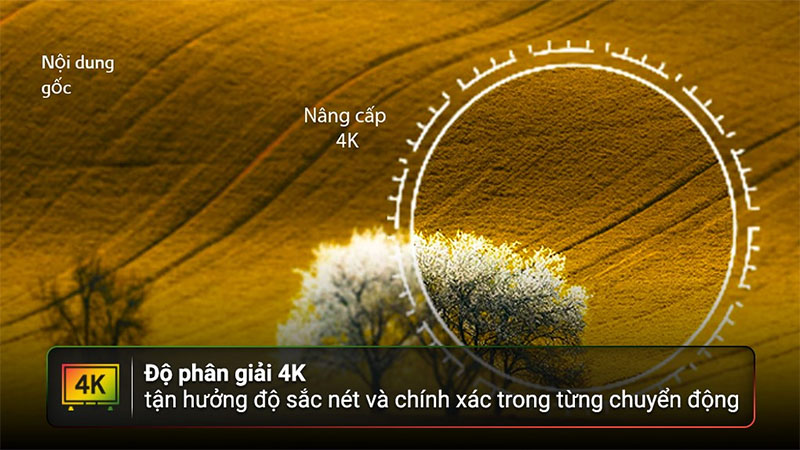 Smart tivi LG 4K 75 Inch 75UR8050PSB - Hàng chính hãng