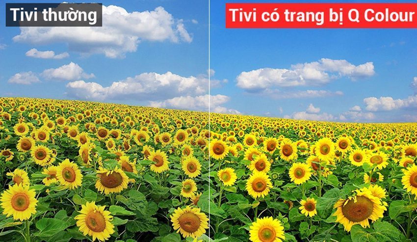 Smart Tivi QLED Samsung QA55Q7FN - Hàng chính hãng