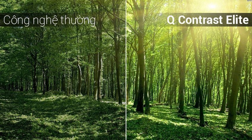 Smart Tivi QLED Samsung QA65Q9FN - Hàng chính hãng