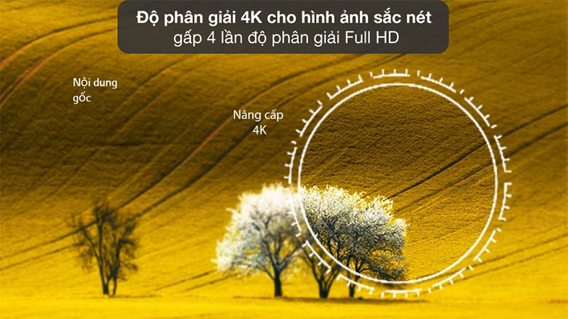 Smart Tivi QNED LG 4K 43 inch 43QNED75SRA - Hàng chính hãng