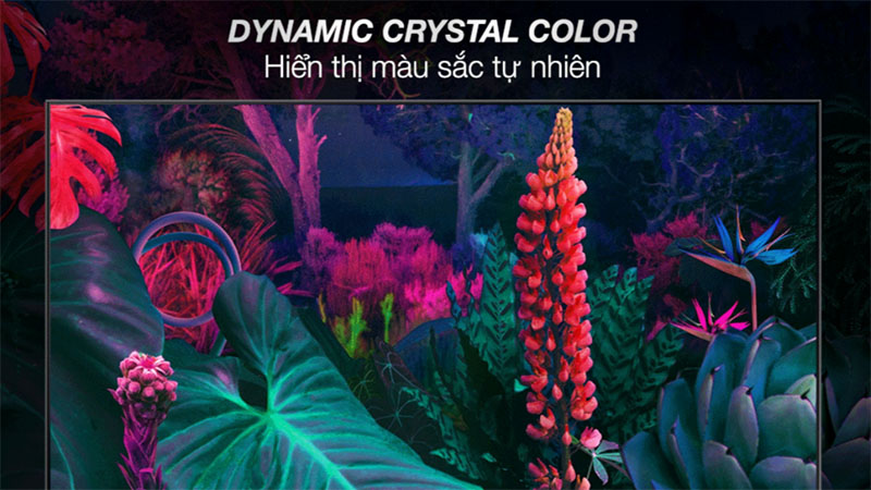 Công nghệ hình ảnh của Smart Tivi Samsung 4K Crystal UHD 55 inch UA55BU8000