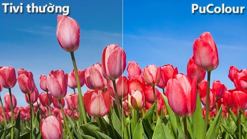 Smart Tivi Samsung UA43N5510 - Hàng chính hãng