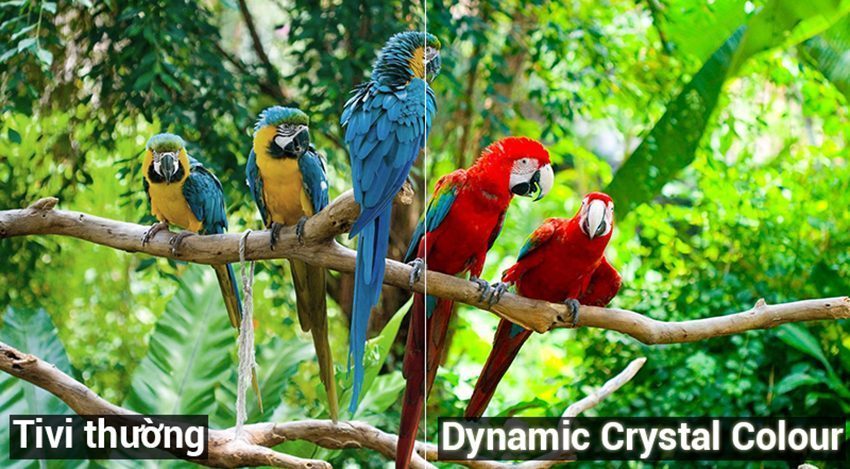 Smart Tivi Samsung UA55NU7400 - Hàng chính hãng