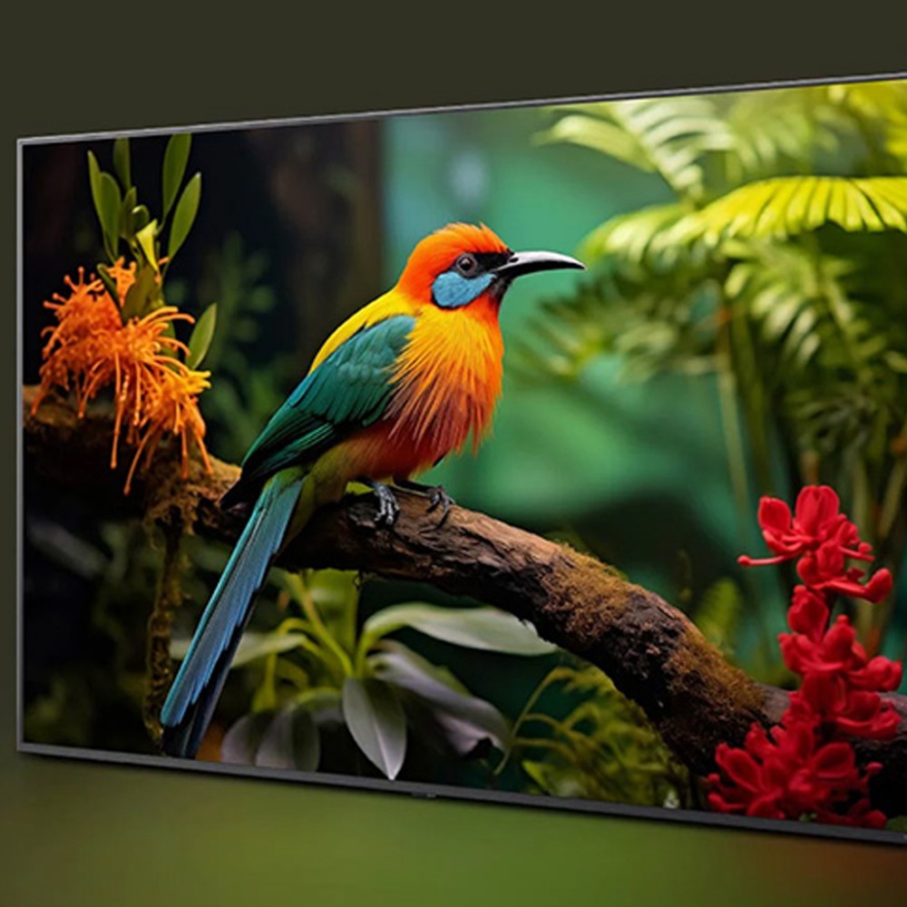 Smart Tivi LG QNED AI 4K 75 inch 75QNED80ASA - Hàng chính hãng