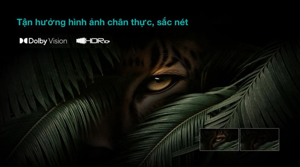 Công nghệ HDR10 Plus và Dolby Vision, hình ảnh luôn rõ nét