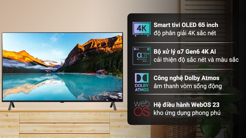 Smart Tivi LG OLED LG 4K 65 inch 65A3PSA - Hàng chính hãng