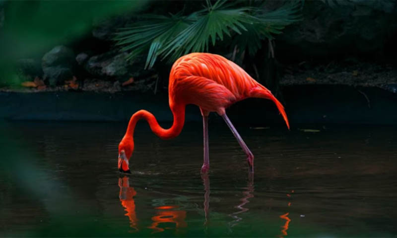 Công nghệ hình ảnh hiện đại cho hình ảnh sắc nét, chân thật