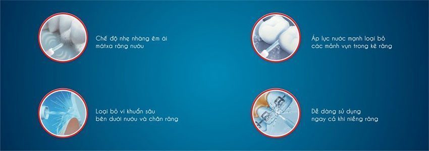 Tăm nước cầm tay Rapido RWF150 - Hàng chính hãng