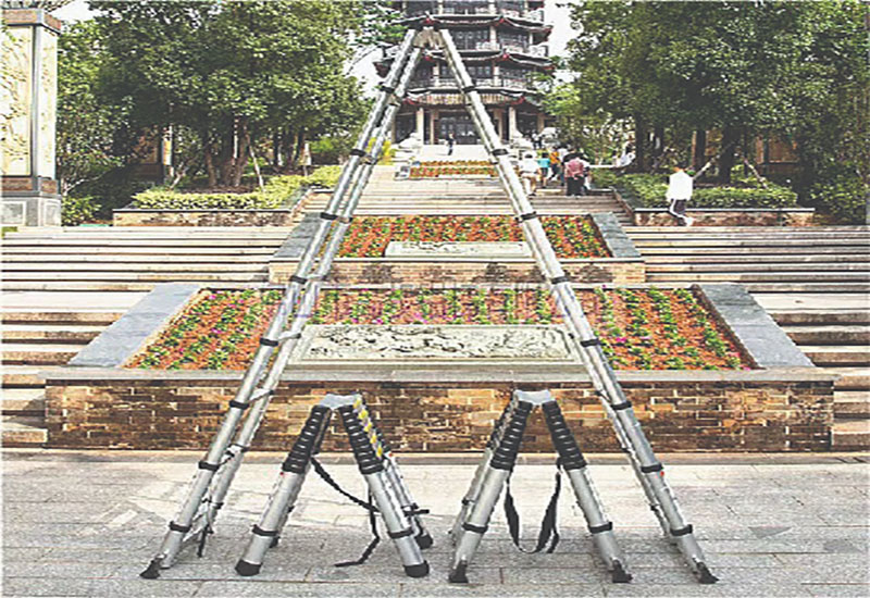 Thang nhôm rút đôi Nakata TY-636