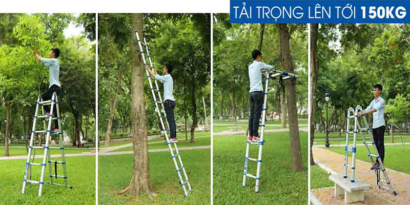 Thang nhôm rút đôi Nakata TYB-640 - Hàng chính hãng