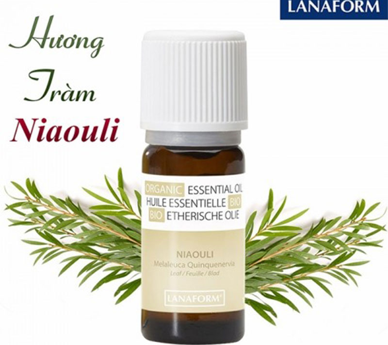 Tinh dầu tràm gió Lanaform Niaouli LA240003 - Hàng chính hãng