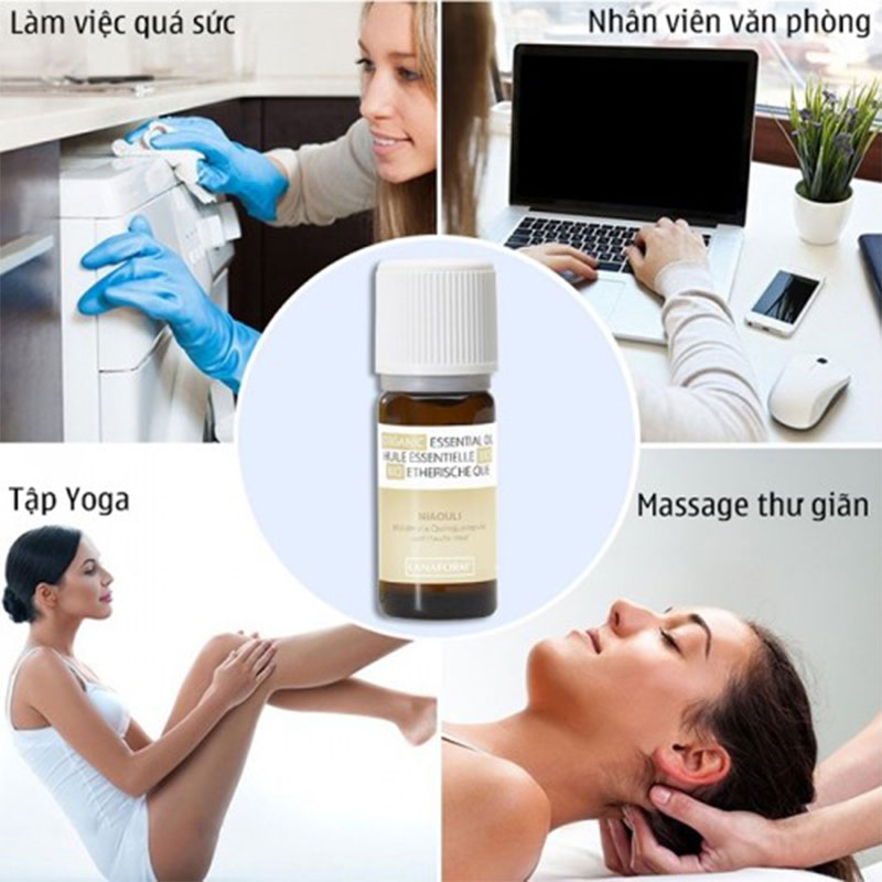 Tinh dầu tràm gió Lanaform Niaouli LA240003 - Hàng chính hãng
