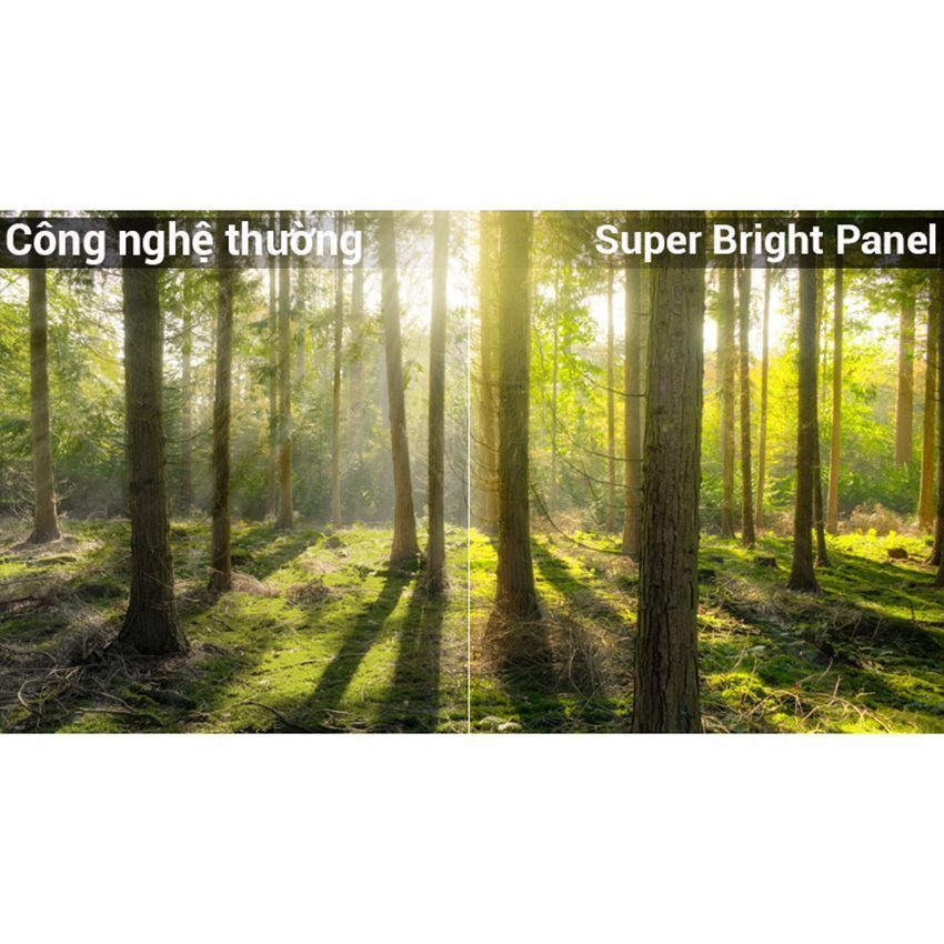 Tính năng của Smart Tivi Panasonic TH-55FX800V