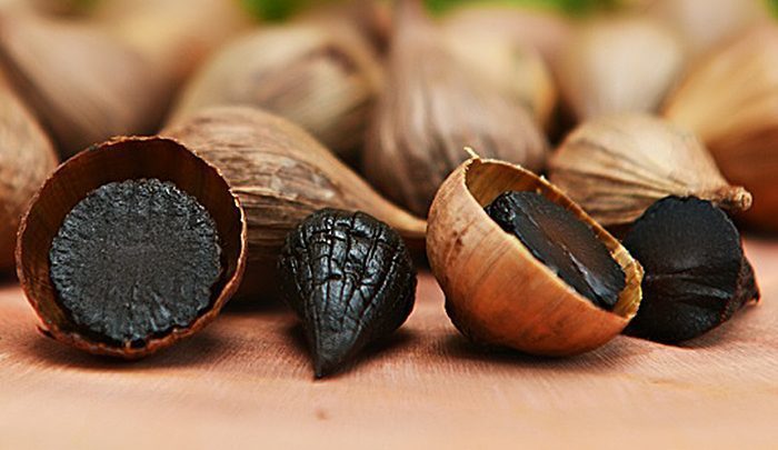 Máy làm tỏi đen Tiross TS907 - Hàng chính hãng