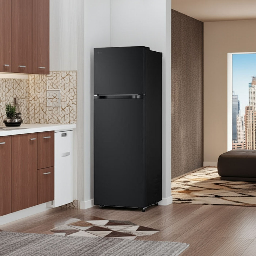 Tủ lạnh LG Inverter 266 lít LTB26BLM - Hàng chính hãng