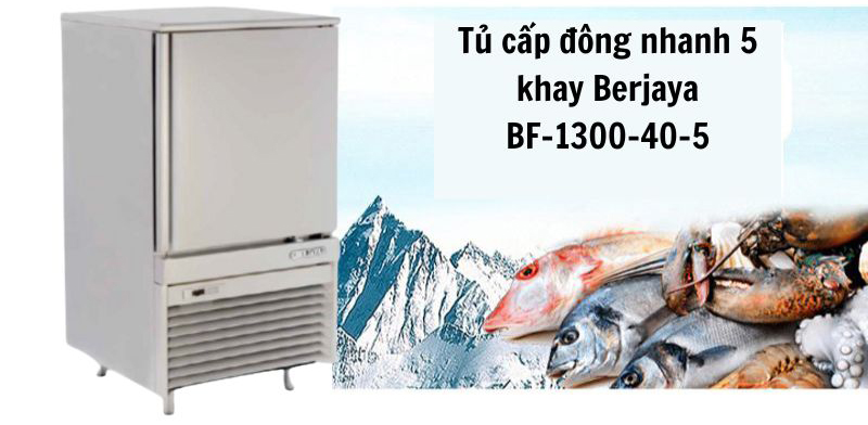 Tủ cấp đông nhanh 5 khay Berjaya BF-1300-40-5  - Hàng chính hãng