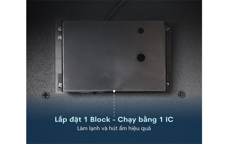 Động cơ của Tủ chống ẩm Fujihome DC-30E