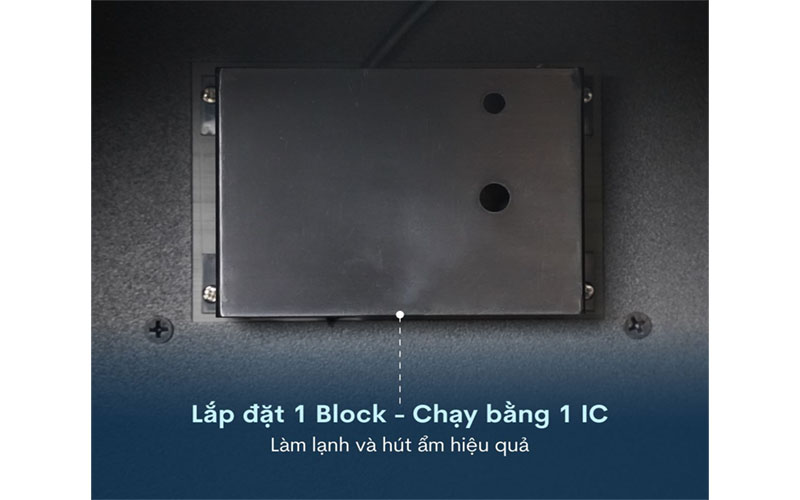 Động cơ của Tủ chống ẩm Fujihome DC-50E