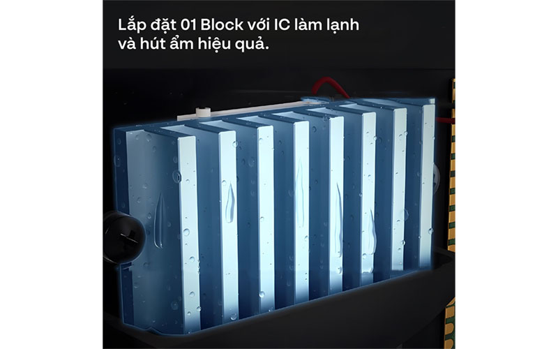 Động cơ của Tủ chống ẩm Fujihome DC-70E