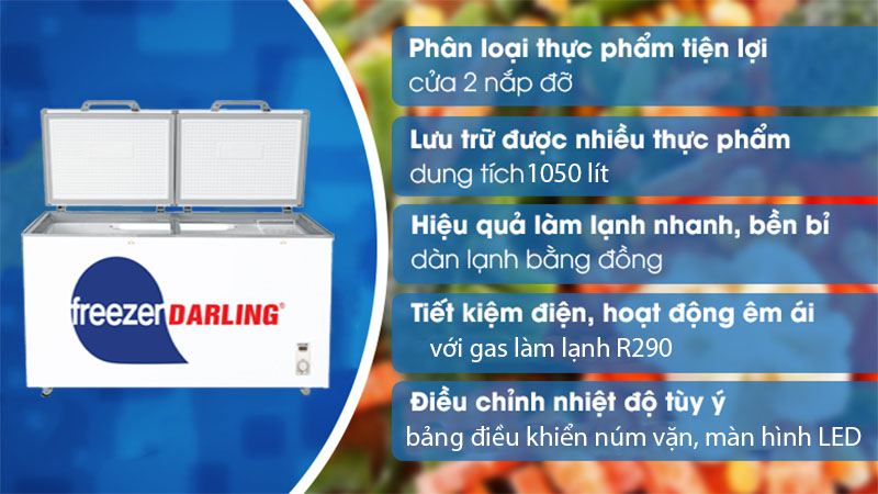 Tủ đông 1 ngăn 1050L Darling DMF-1079AE - Hàng chính hãng