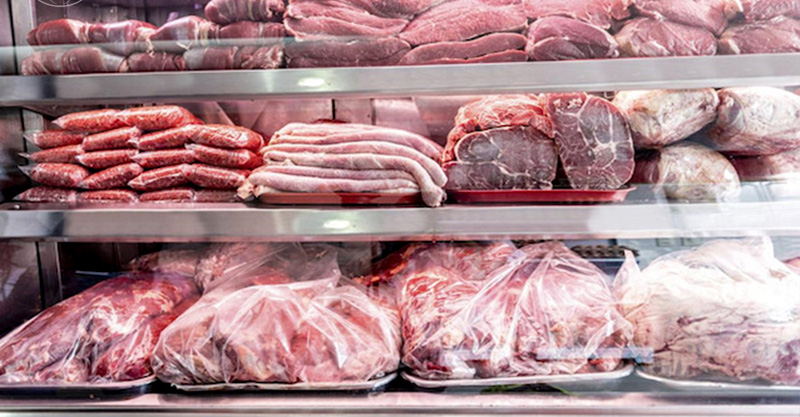 Tủ đông 2 cánh inox TurboGold TG-2DF - Hàng chính hãng