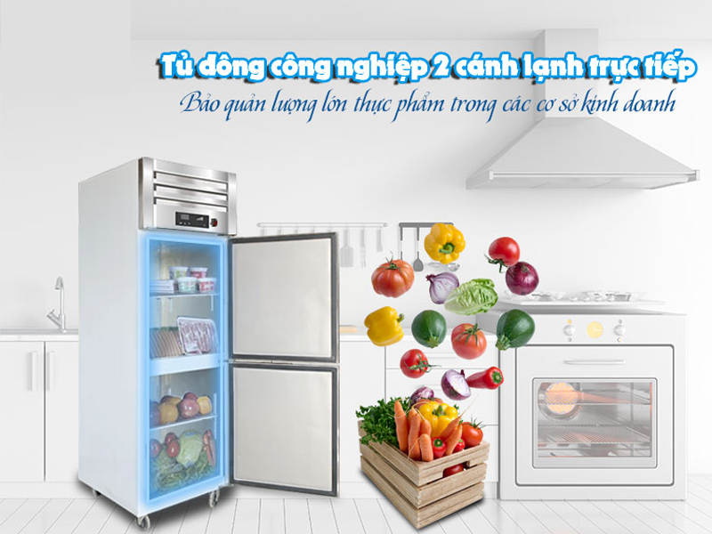 Tủ đông 2 cánh Fushima FSM-TD2C - Hàng chính hãng