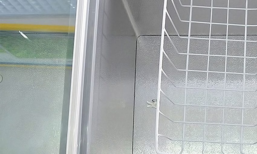 Tủ đông mát Alaska BCD-3067N - Hàng chính hãng