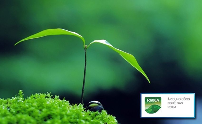 Tủ đông mát Alaska BCD-5067N  sử dụng Gas R600A  an toàn